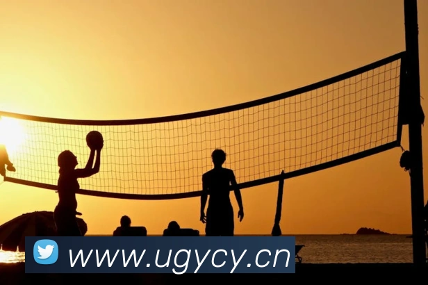 多媒体互动体验